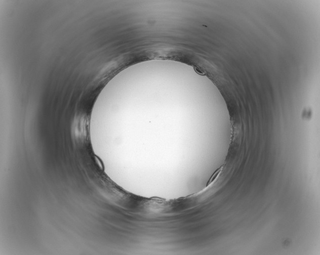 X0000093360094200711011216