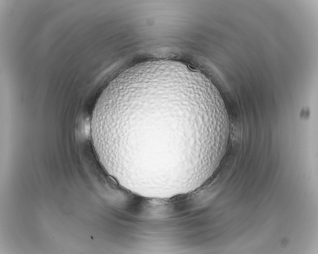 X0000093360095200711011216