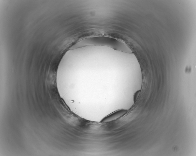 X0000093360096200711011216