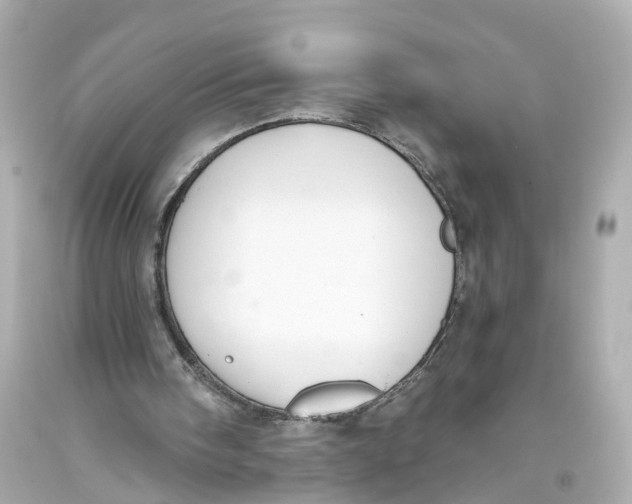 X0000093360098200711011215