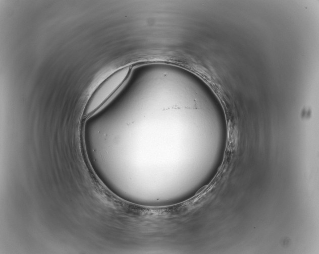 X0000093360099200711011215