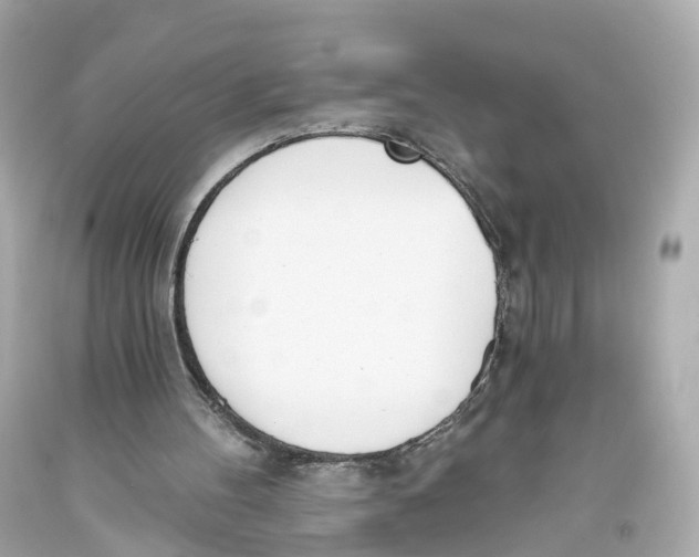 X0000093360100200711011215