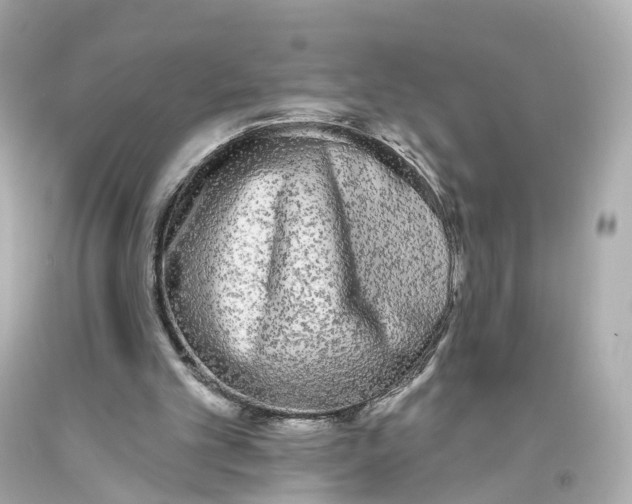 X0000093360101200711011215