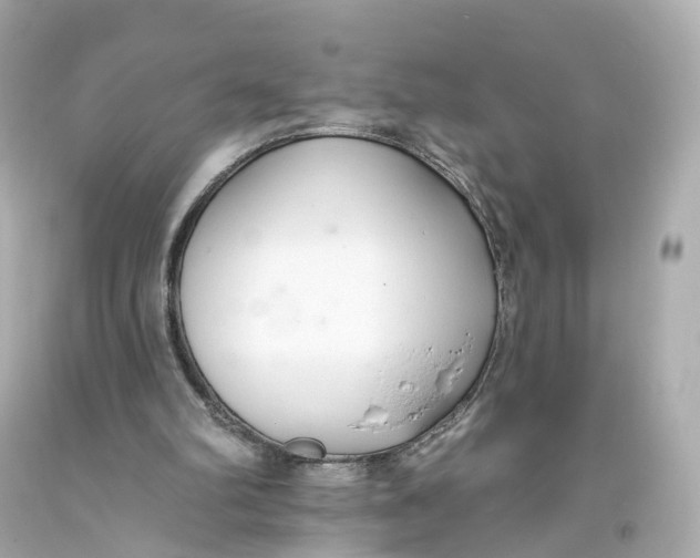 X0000093360102200711011215