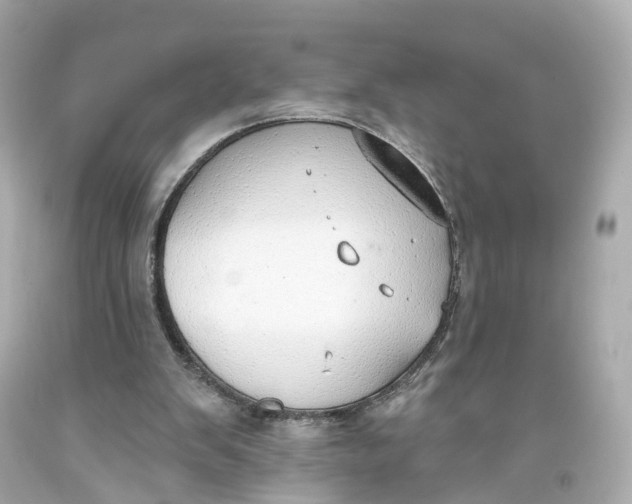 X0000093360103200711011215