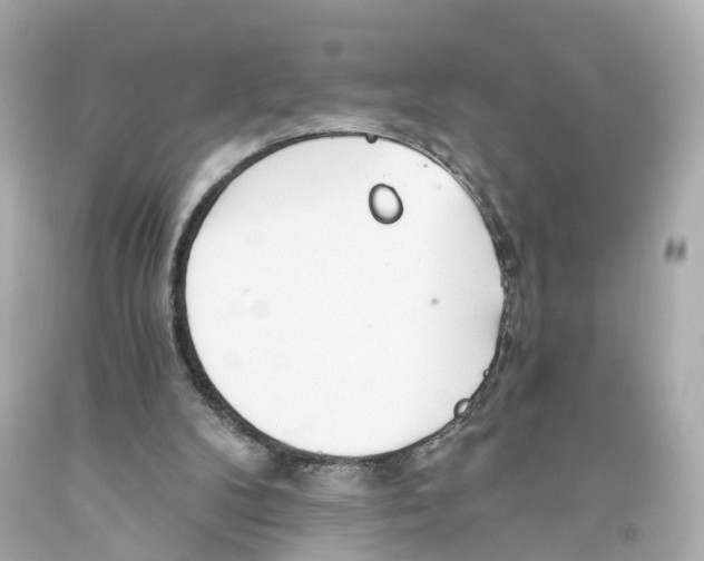 X0000093360104200711011215