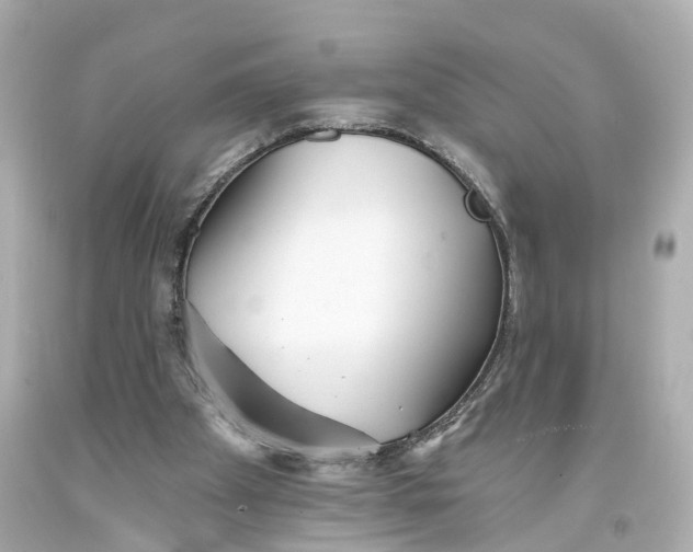 X0000093360105200711011215