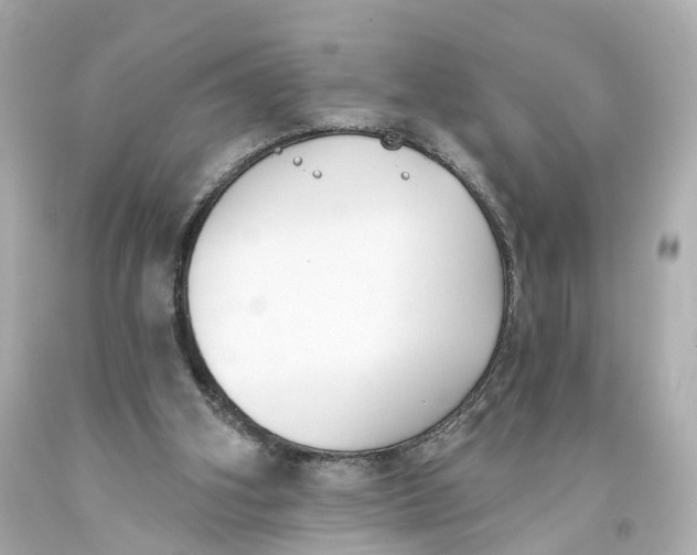 X0000093360106200711011215