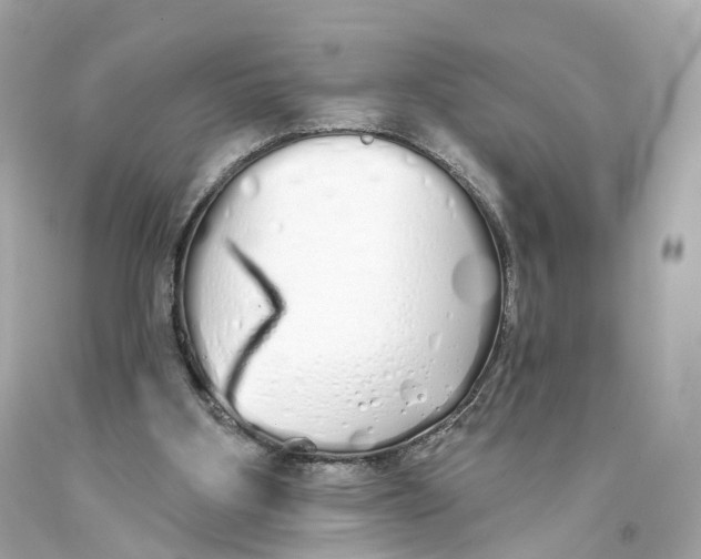 X0000093360107200711011215