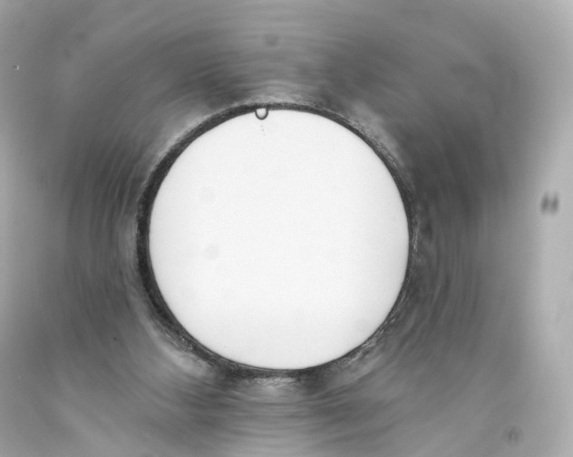 X0000093360108200711011215