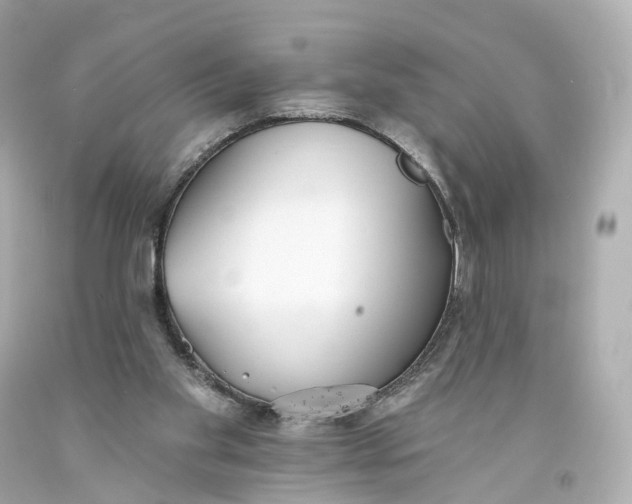 X0000093360109200711011215