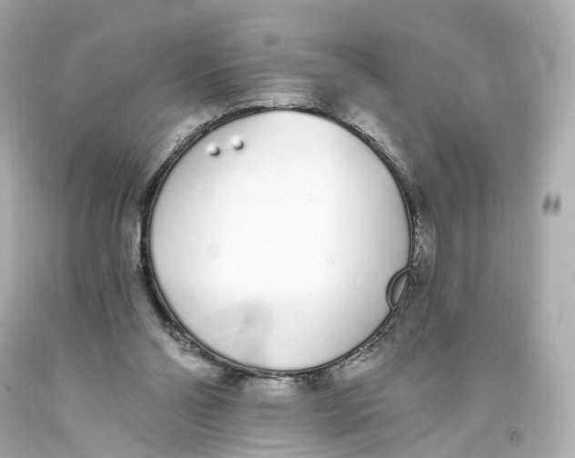 X0000093360110200711011215