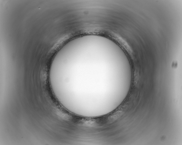 X0000093360113200711011215