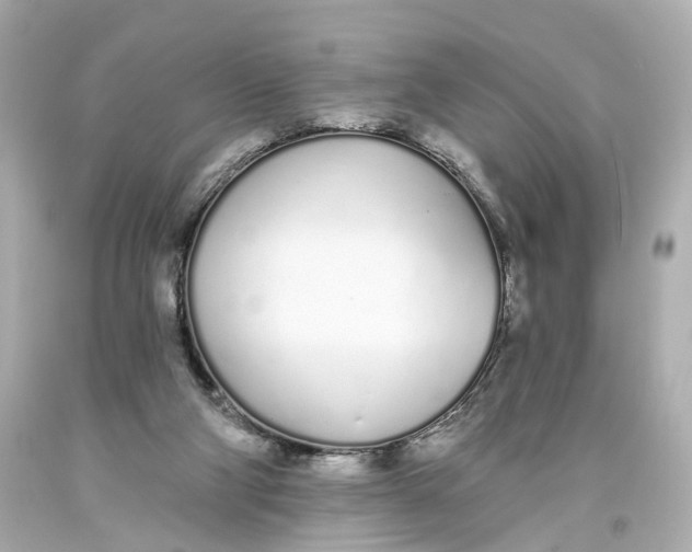 X0000093360114200711011215