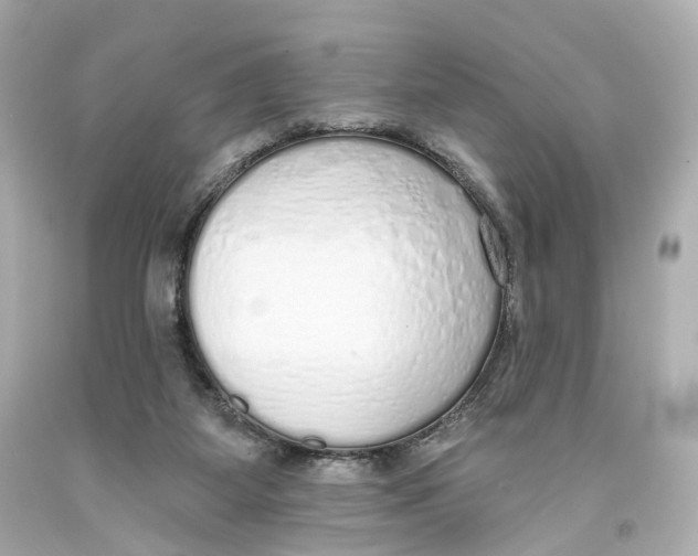 X0000093360115200711011215