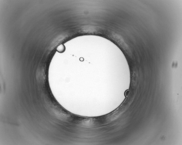 X0000093360116200711011215