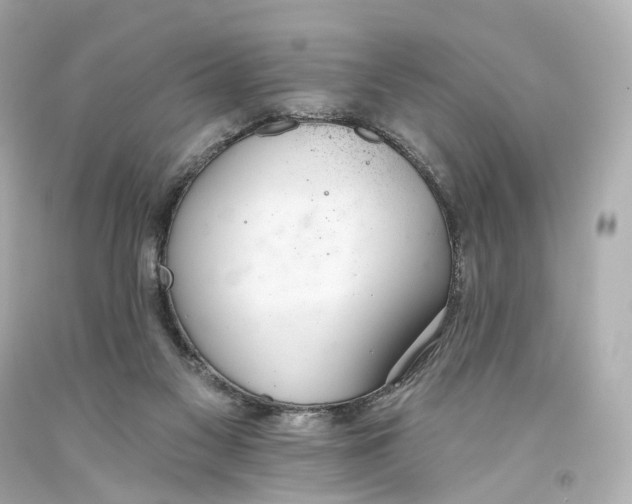 X0000093360117200711011215