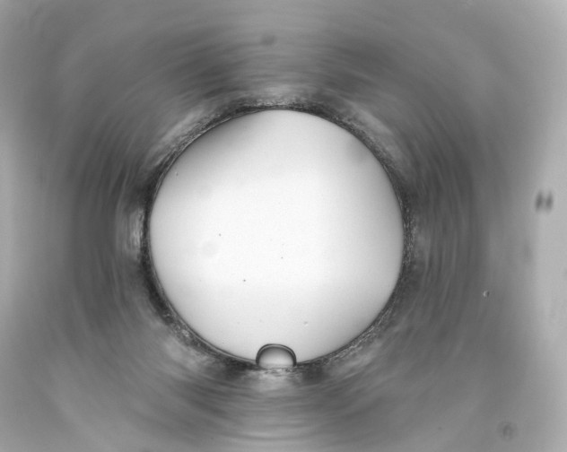 X0000093360118200711011215