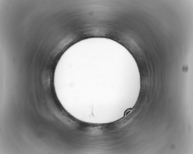 X0000093360120200711011215