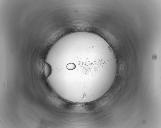 X0000093360121200711011215