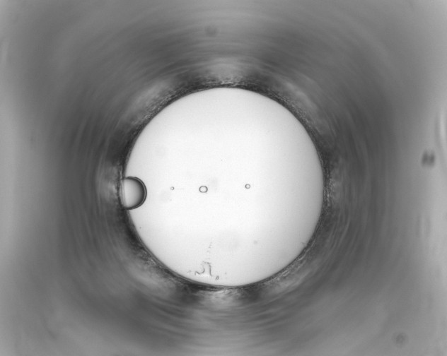 X0000093360122200711011215