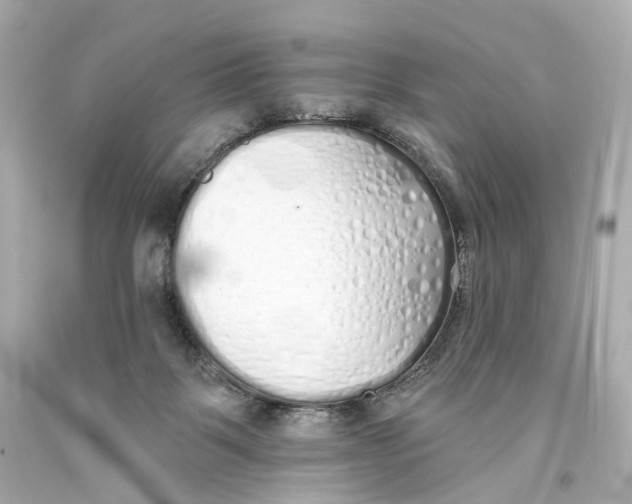 X0000093360123200711011215