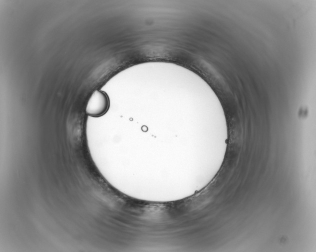 X0000093360124200711011215