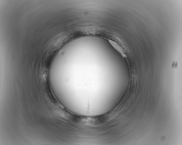 X0000093360125200711011215