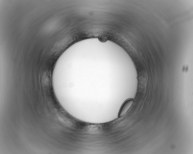 X0000093360126200711011215