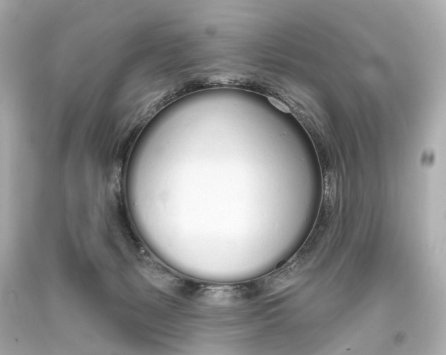 X0000093360127200711011215