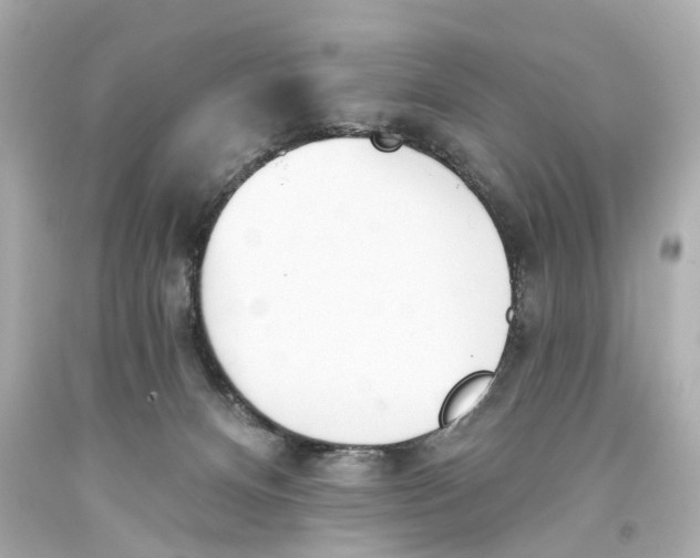 X0000093360128200711011215