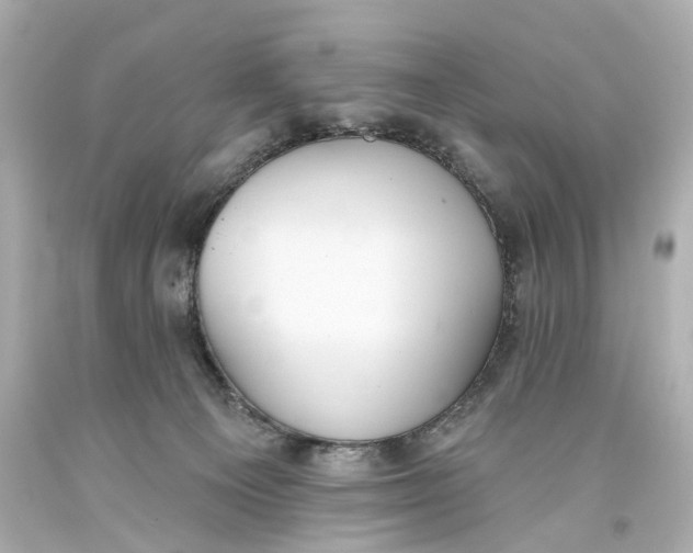 X0000093360129200711011215