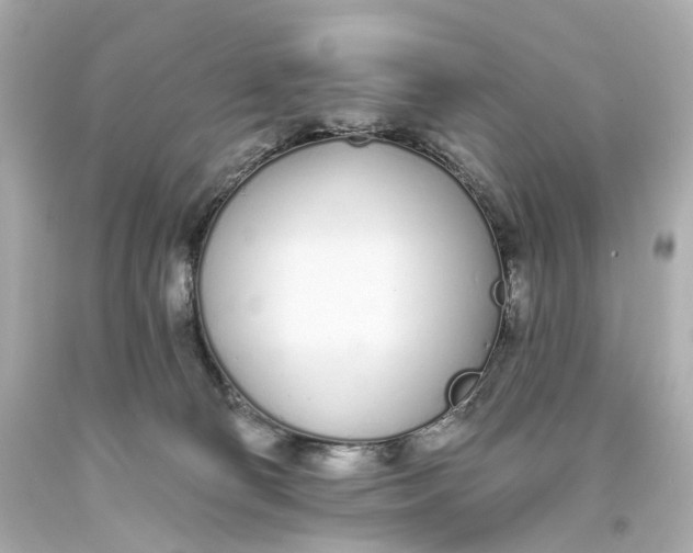 X0000093360130200711011215