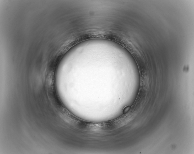 X0000093360131200711011215