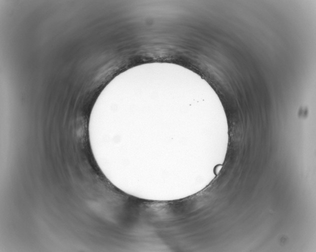 X0000093360132200711011215