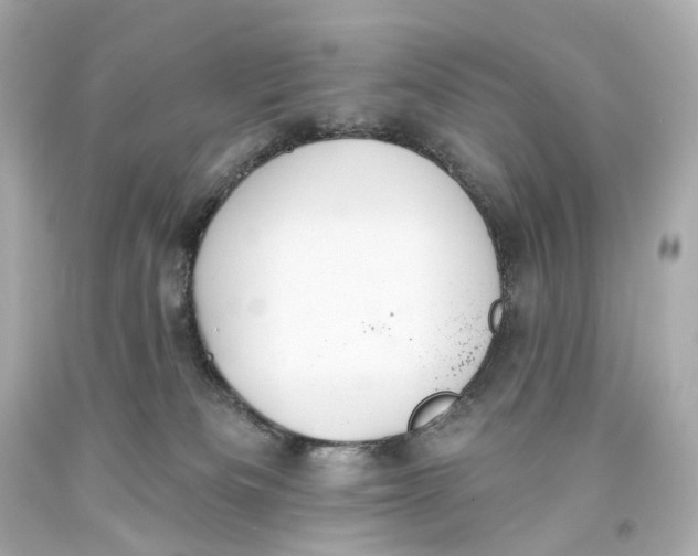 X0000093360133200711011215