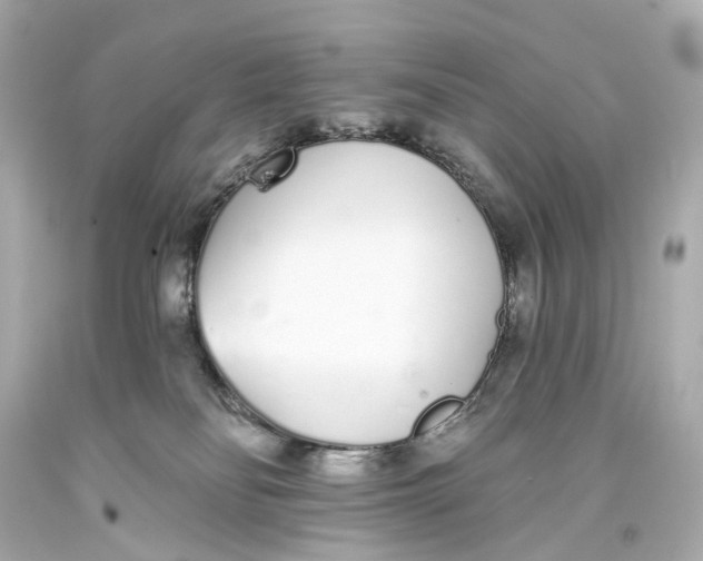 X0000093360134200711011215