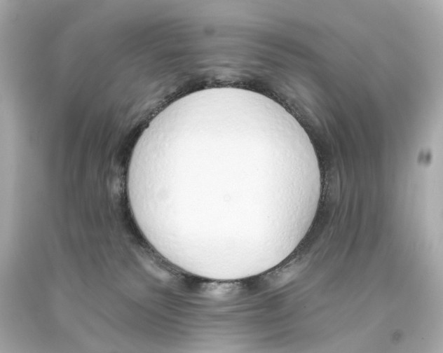 X0000093360135200711011215