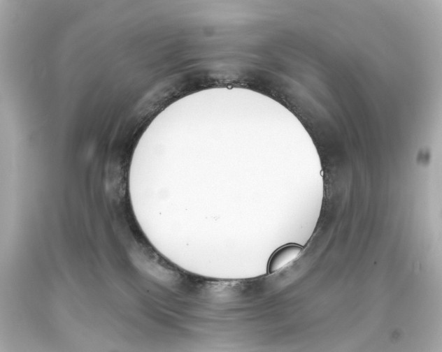 X0000093360136200711011215