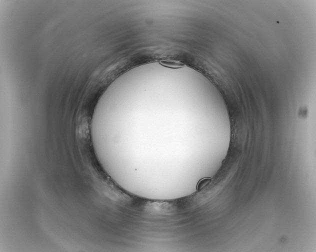 X0000093360137200711011215