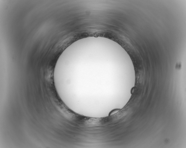 X0000093360138200711011215