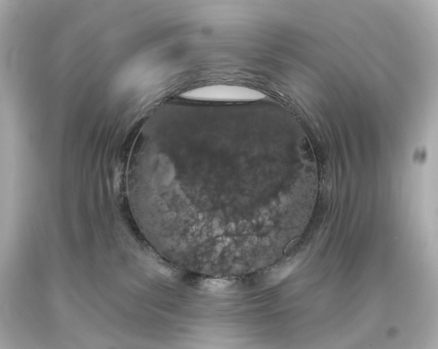 X0000093360139200711011215