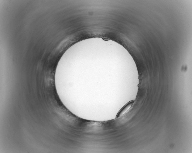 X0000093360140200711011215