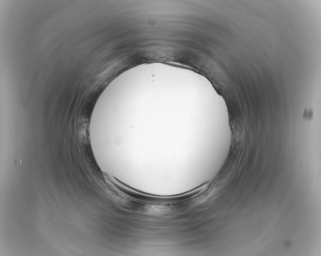 X0000093360141200711011215