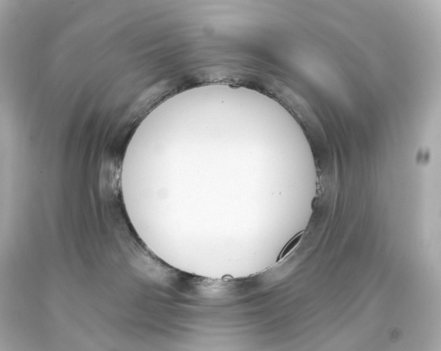 X0000093360142200711011215