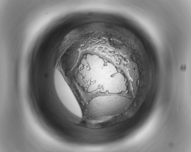 X0000093360143200711011215