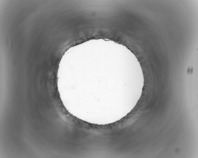 X0000093360144200711011215