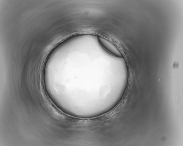 X0000093360145200711011214