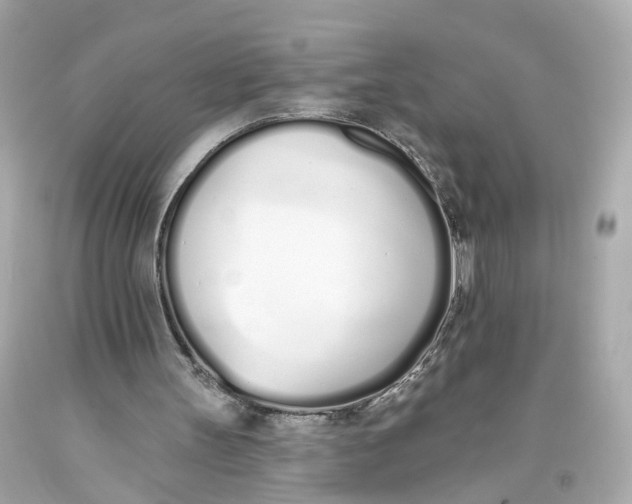 X0000093360147200711011214