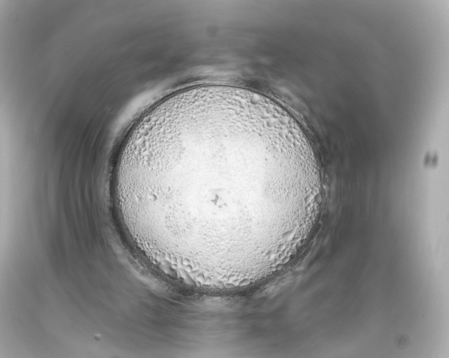 X0000093360149200711011214